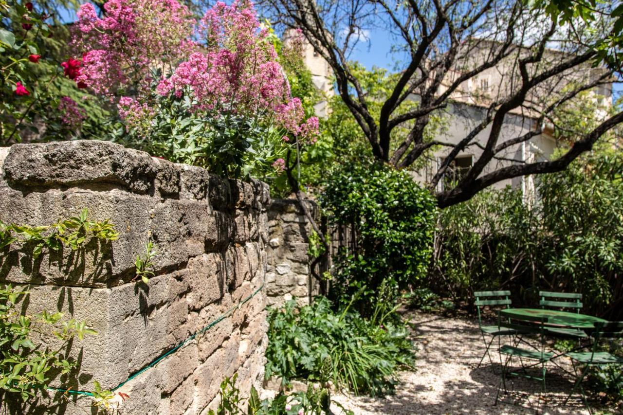 Le Jardin De Mazan Bed and Breakfast Eksteriør billede